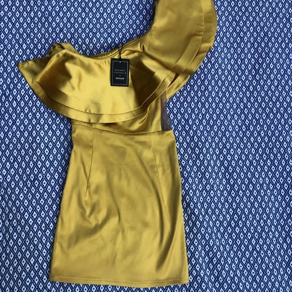 Michael Costello x Revolve Joey Mini Dress - Picture 4 of 5